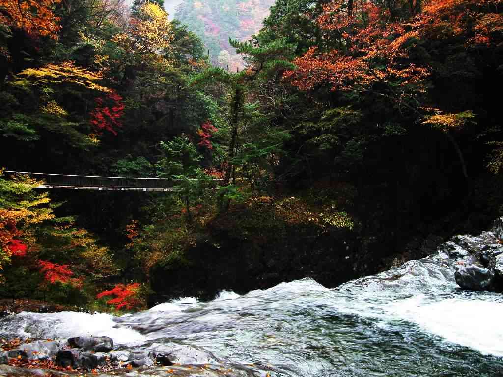 莲花山自然保护区