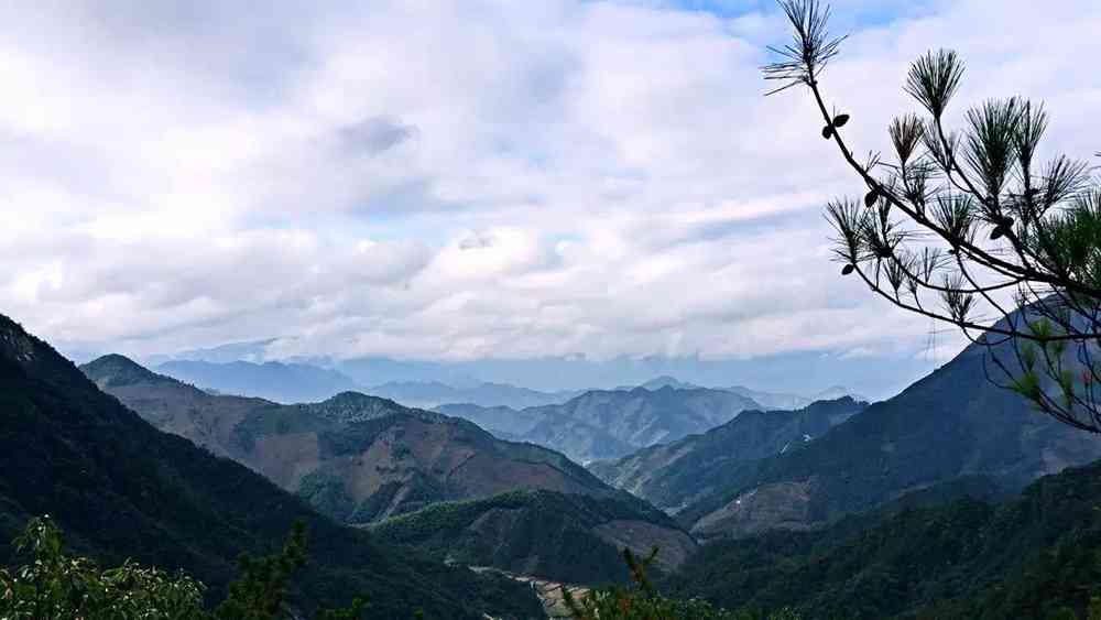 大明山好玩吗？大明山游玩攻略