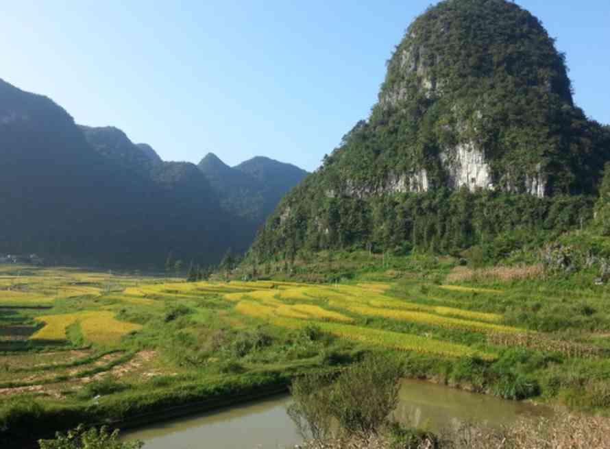 茂兰景区好玩吗？茂兰风景区游玩注意事项