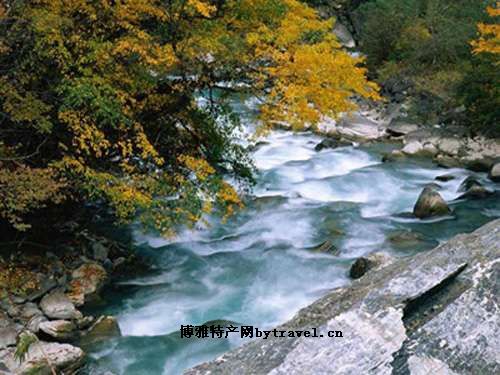 九寨沟矿泉水