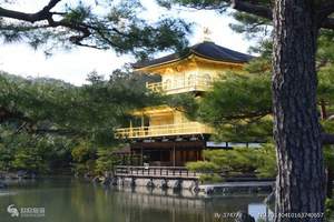 北京参团去日本全景旅游路线:双色温柔 东京大阪北海道全景7日