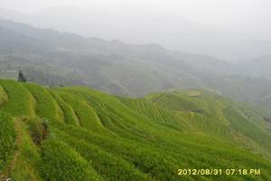 青岛去桂林旅游_去桂林纯玩双卧七日游