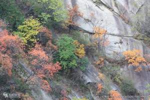 洛阳木札岭二日游【避暑休闲，洛阳最值得去的山水景点之一】