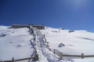 重庆到达古冰川旅游_重庆到达古冰川旅游价格_达古冰川汽车三日