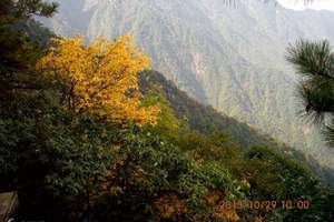 平山佛光山一日游|石家庄到佛光山旅游