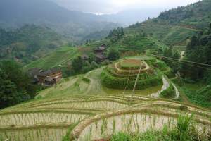 【桂林特色之旅-秋冬季节】漓江、龙脊梯田、龙胜温泉四日游