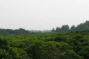 西安 兵马俑 华山探险三日游 端午（宁夏银川出发到周边旅游）