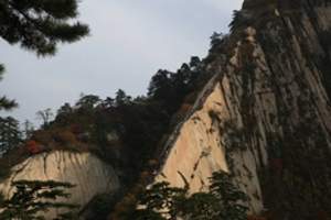 陕西到华山旅游 华山一日游报价 西安到华山一日游