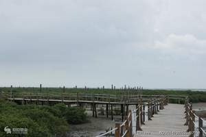 北海海洋之窗、金海湾红树林、银滩、涠洲岛二日游