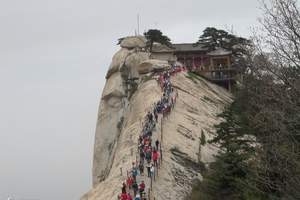 华山一日游 西安华山一日游路线