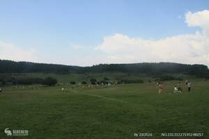 重庆到仙女山旅游价格_仙女山旅游团购_仙女山天坑一日游