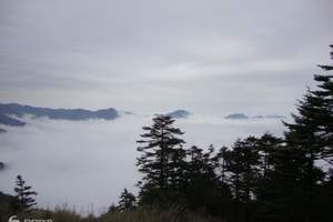 宜昌到神农架武当山四日游 探秘神农架_问道武当山