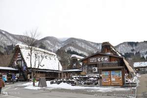 东京+北海道双樱温泉美食7日游