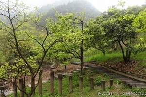 苏州到桐庐二日 瑶琳仙境-天目溪漂流-大奇山-富春江-严子陵