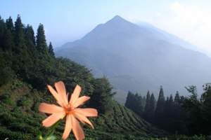 长春去【南昌】长春去【三清山、梁山、庐山】双飞6日游