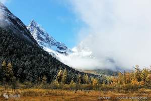 毕棚沟旅游多少钱_毕棚沟二日游_毕棚沟雪景、古尔沟温泉二日游