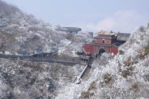 十一到泰山旅游/泰山特价门票/济南出发泰山一日游