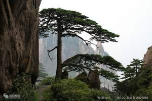 福州到黄山旅游_福州到黄山5日双飞游