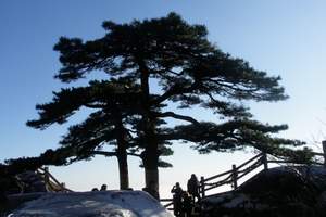 济南到泰山|东岳泰山一日游|天天发团