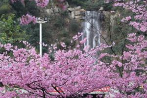 王仙岭旅游风景区